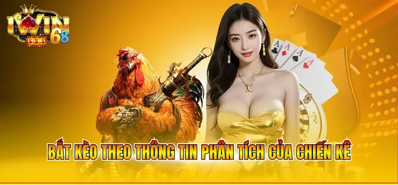Bắt kèo theo thông tin phân tích của chiến kê