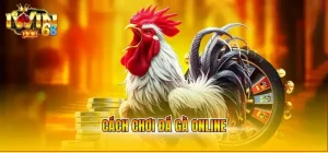 cách chơi đá gà online