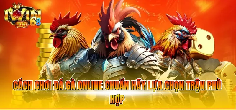 Cách chơi đá gà online chuẩn hãy lựa chọn trận phù hợp