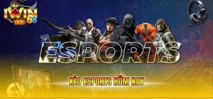 Kèo esports hôm nay