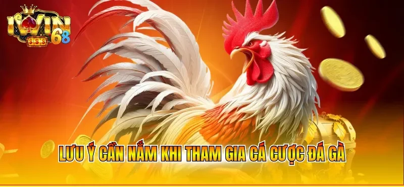 Lưu ý cần nắm khi tham gia cá cược đá gà