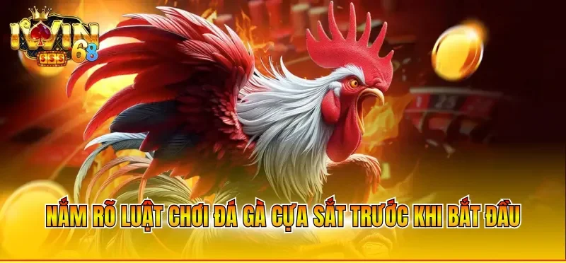 Nắm rõ luật chơi đá gà cựa sắt trước khi bắt đầu