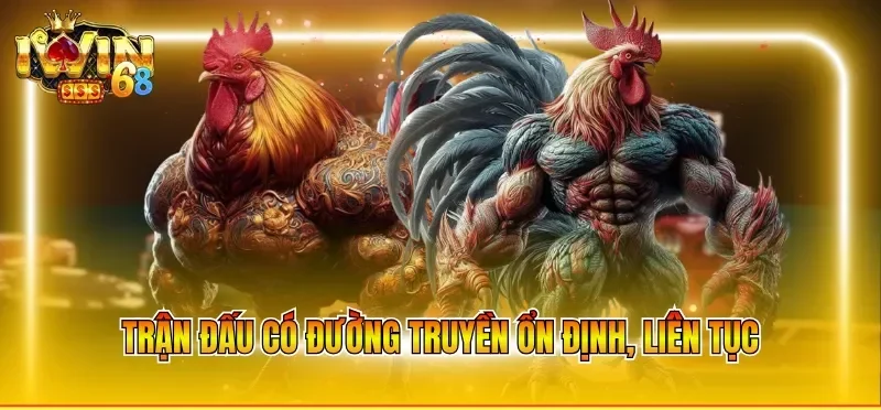 Trận đấu có đường truyền ổn định, liên tục