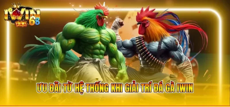 Ưu đãi từ hệ thống khi giải trí đá gà IWIN